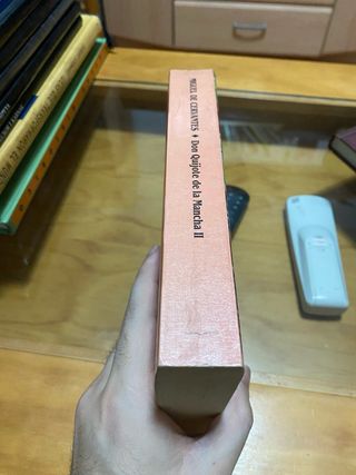 Don Quijote de la Mancha II