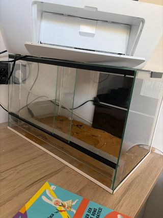 Terrario de cristal para mascotas