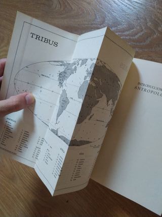 Introducción A La Antropología