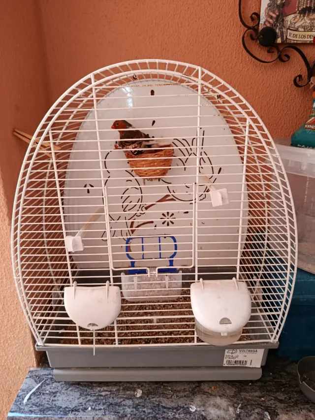 Jaulas Voltrega Medianas y Pequeñas más pie