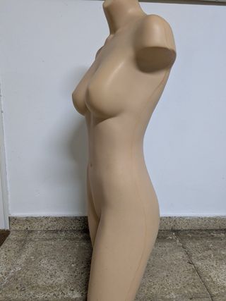 Maniquí Femenino Torso Completo 