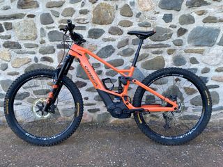 Orbea Wild M10 Carbono