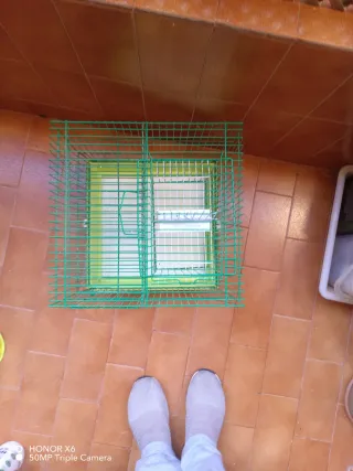 Jaula para pájaros con accesorio