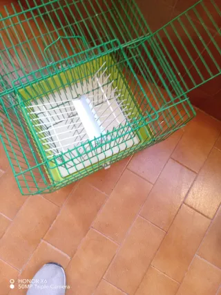 Jaula para pájaros con accesorio