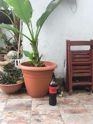 Macetas Grandes de Plástico Marrón