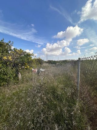 Terreno rústico con vegetación