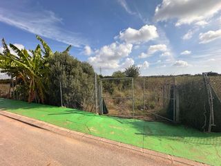 Terreno rústico con vegetación