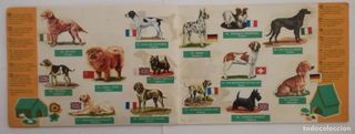 Álbum Panrico Los perros sus razas y su origen