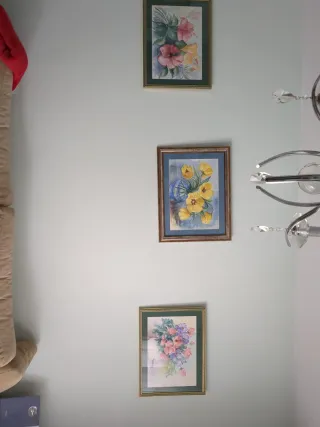 Tre Quadri ad acquerello tulipani gialli e rosa