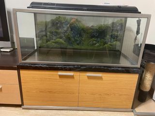 Acuario de cristal con estructura metálica