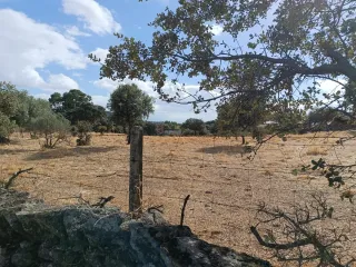 Parcela rústica en venta