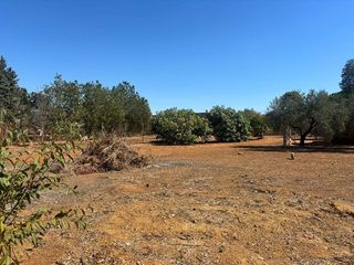 Terreno en venta en Carmona