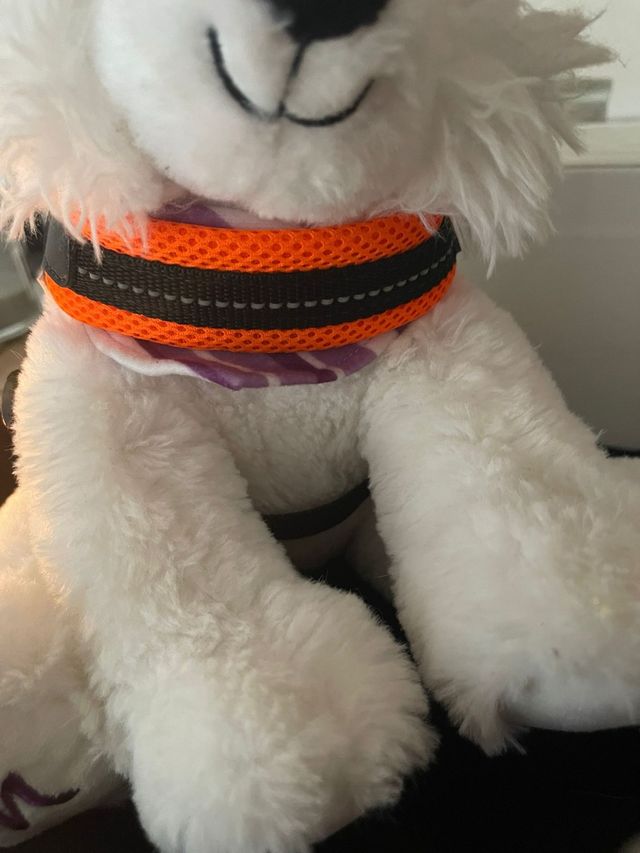 Pettorina TRE PONTI per cuccioli