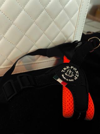 Pettorina TRE PONTI per cuccioli