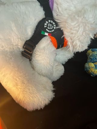 Pettorina TRE PONTI per cuccioli