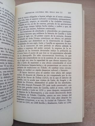 Historia de la literatura española. La Edad Media.