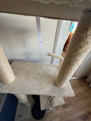 Árbol rascador para gatos