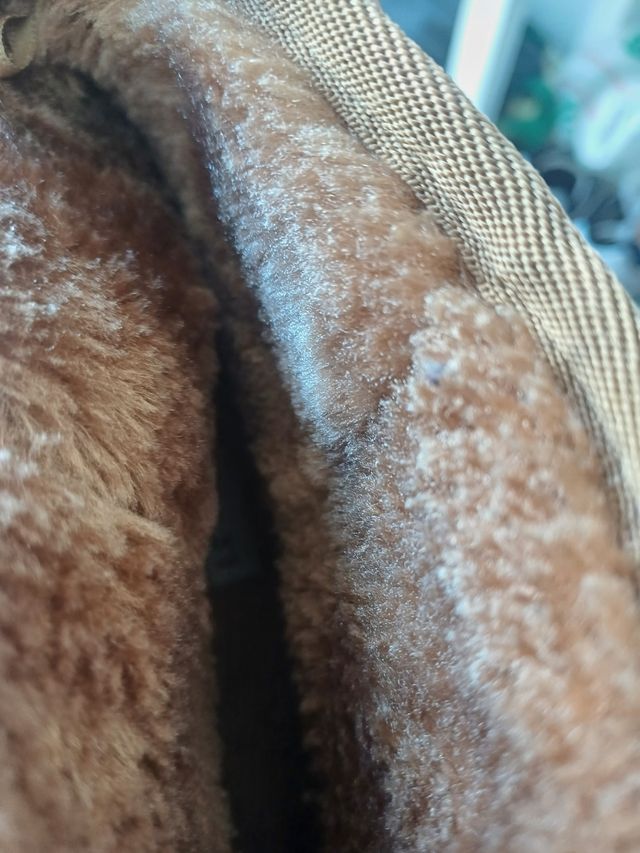 Botas estilo zapatillas mujer marrones