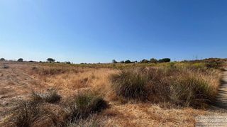 Terreno en venta en Lepe ciudad en Lepe