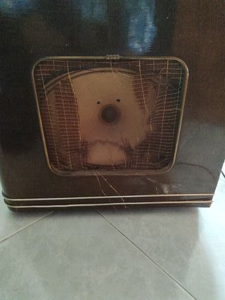 Radiogramola Iberia  de 1960 con  tocadiscos.