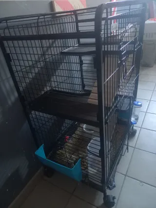 Jaula para cobayas PawHut