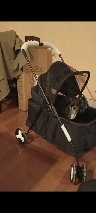 Carrito perro 15kg con colchoneta