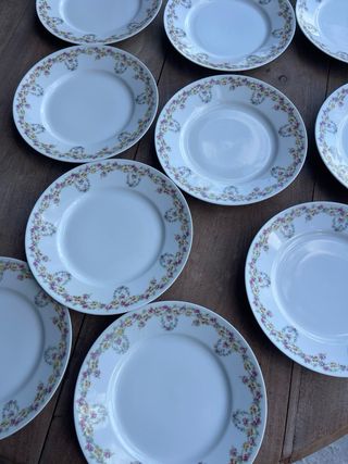 16 Platos Limoges Porcelana Flores