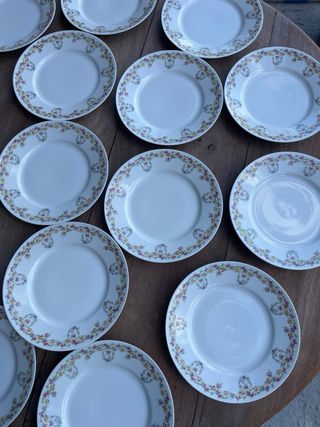16 Platos Limoges Porcelana Flores