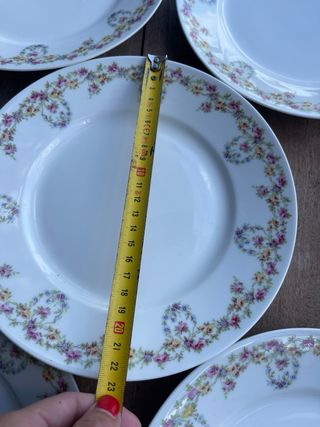 16 Platos Limoges Porcelana Flores