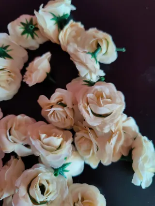 Lotto roselline bianco crema