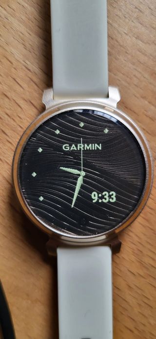Reloj Garmin Lily 2