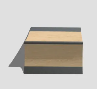 Rampa Skate MiniSpine