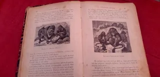 Narraciones de Historia Natural I Historia  España