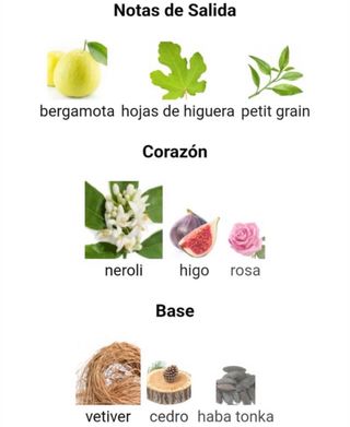 Guerlain Aqua Allegoria Nerolia Vetiver Forte 5ml