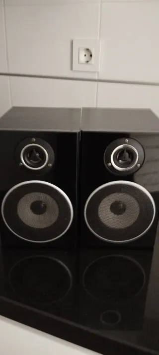 Altavoces Mx Onda Madera Marrones