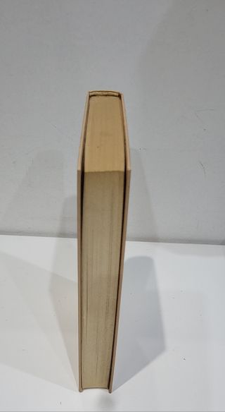 QUERIDO PRIMER NOVIO.