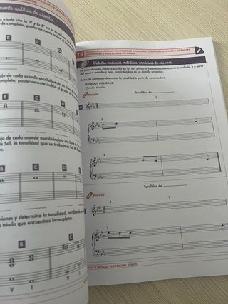 Libro Lenguaje Musical Todo en Uno 1º Ed. Prof.