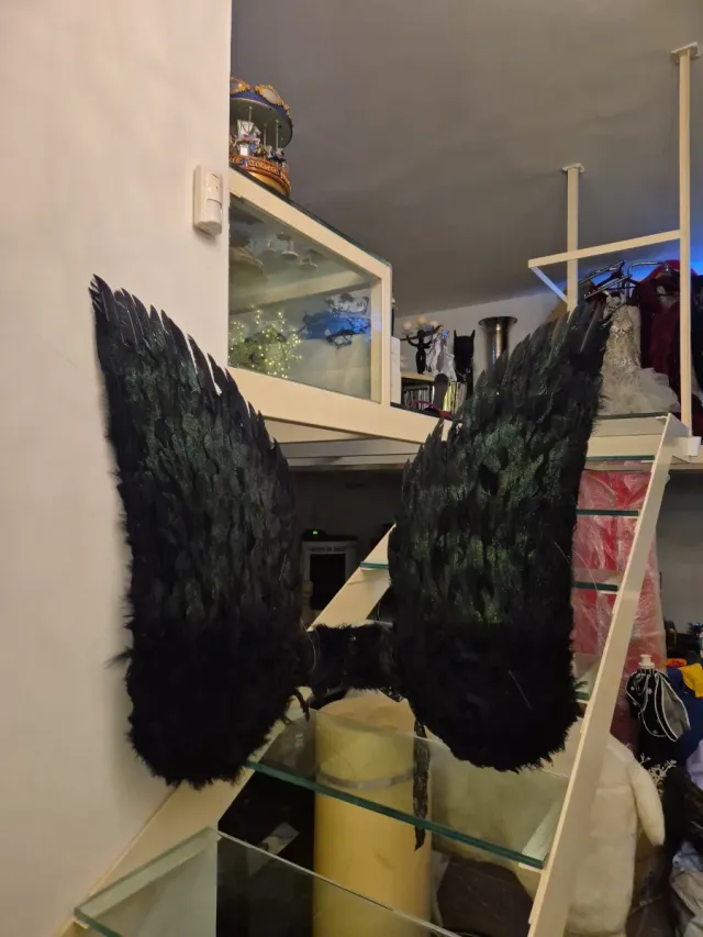 Alas Negras Decorativas