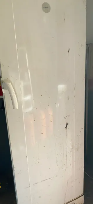 Congelador Electrolux