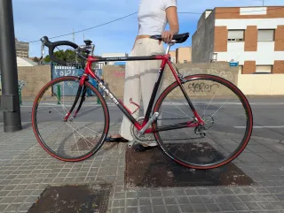 Bicicleta Carretera CARBONO MASSI
