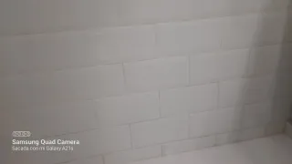 soy simo soy paleta hago todo la reforma