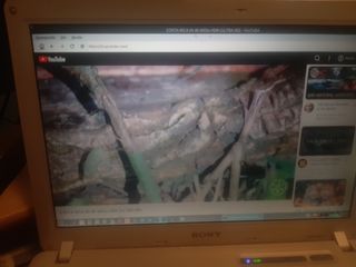 Ordenador Portátil Sony Vaio Plata