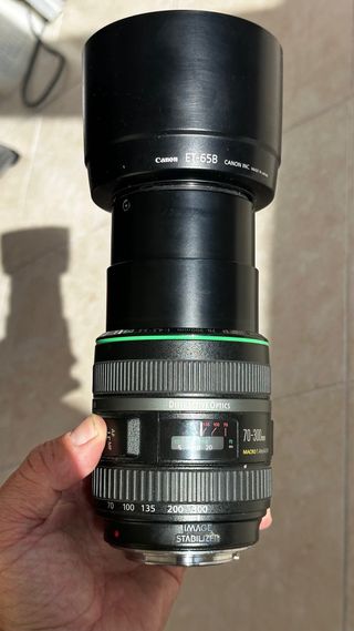 Canon EF 70-300mm f/4.5-5.6 DO IS USM