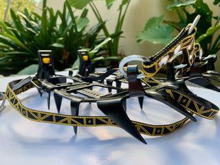 Ramponi Charlet Moser a 10 punte + coperchio