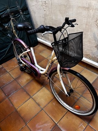 Bicicleta Paseo Juvenil Megamo.