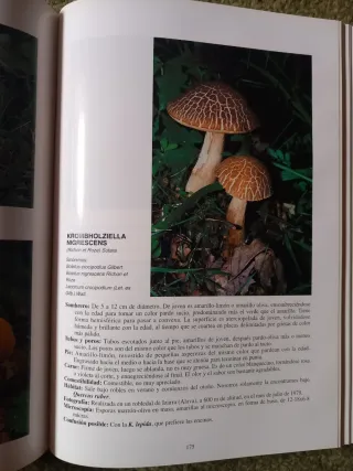 Libro Las Setas en la Naturaleza. Tomo 1
