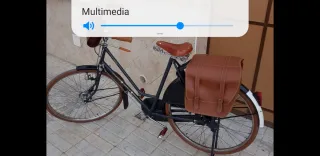 Bicicleta Gazelle Holandesa Restaurada