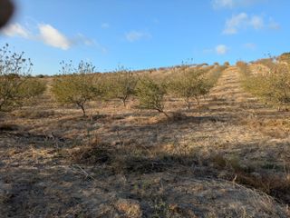 Parcela rústica 120.000 m²