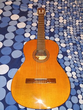 Guitarra Española Clásica