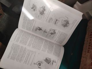 Urología: libro del residente.